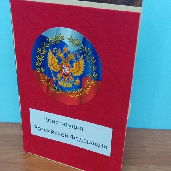 Григорьева Ирина,Ланцова Евгения